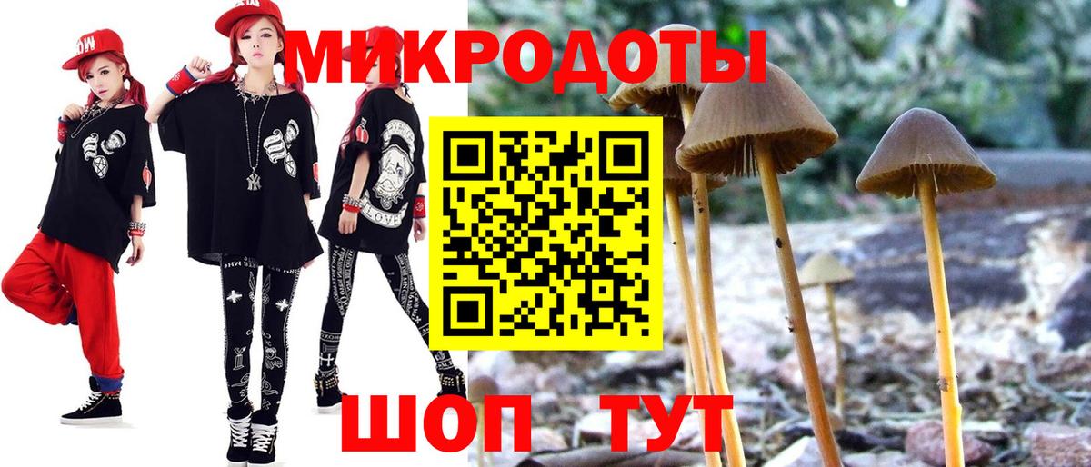 Псилоцибиновые грибы Psilocybine cubensis Пугачёв